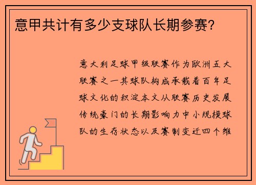 意甲共计有多少支球队长期参赛？